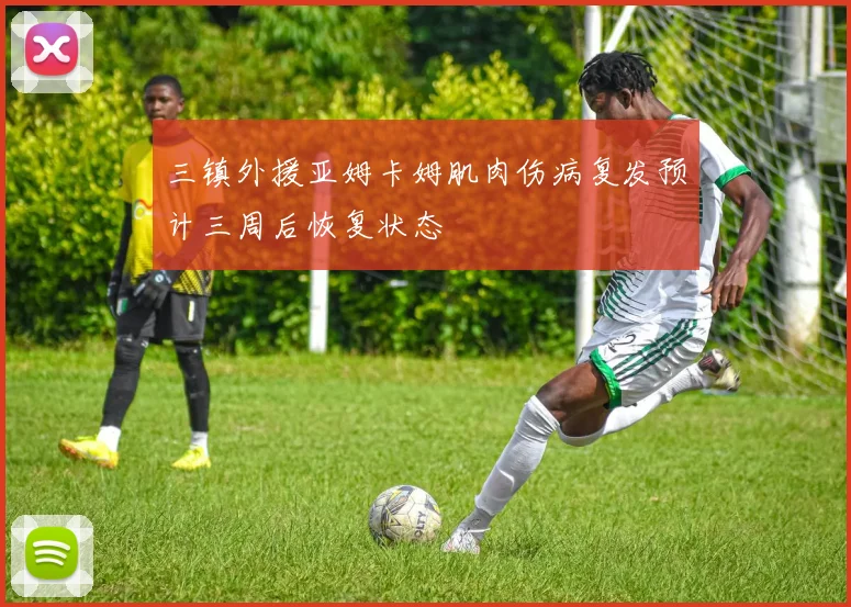 三镇外援亚姆卡姆肌肉伤病复发预计三周后恢复状态