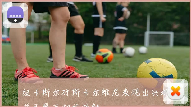 纽卡斯尔对斯卡尔维尼表现出兴趣并已展开初步接触