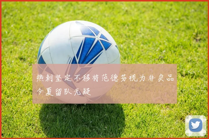 热刺坚定不移将范德芬视为非卖品今夏留队无疑